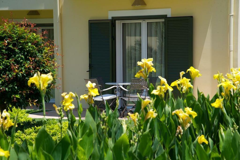 Enalion Suites Lassi (Kefalonia) Room photo