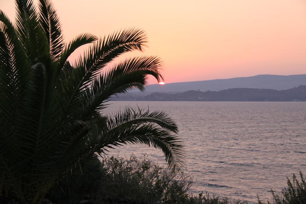 Enalion Suites Lassi (Kefalonia) Exterior photo